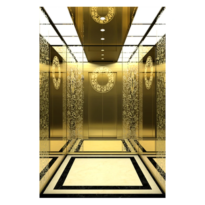 Capsule Passenger Elevator