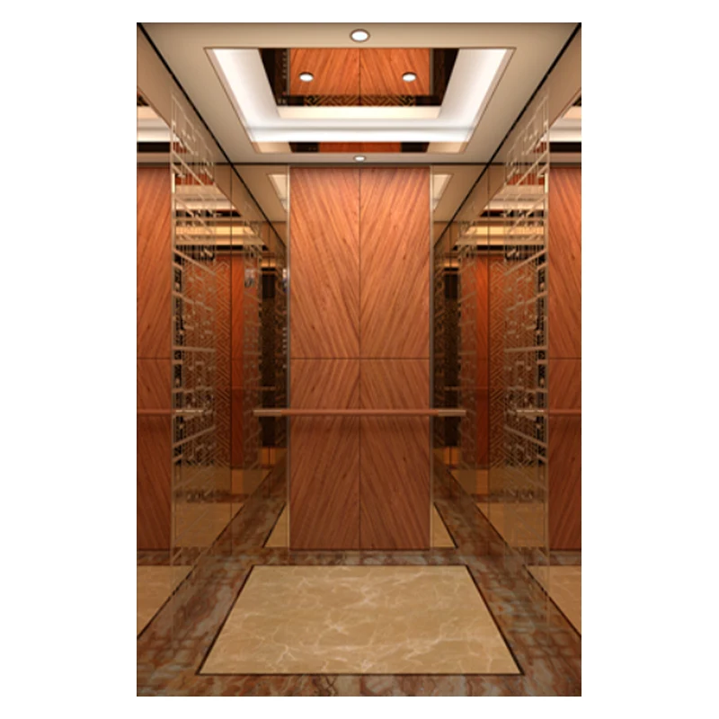 Hydraulic Home Elevator